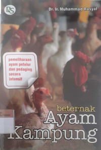 Beternak ayam kampung