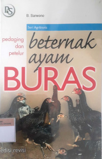 Beternak ayam buras