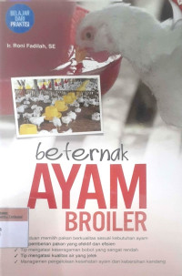 Beternak ayam broiler