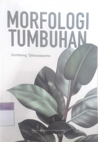 Morfologi tumbuhan