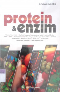 Protein & enzim