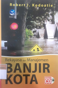 Rekayasa dan manajemen banjir kota